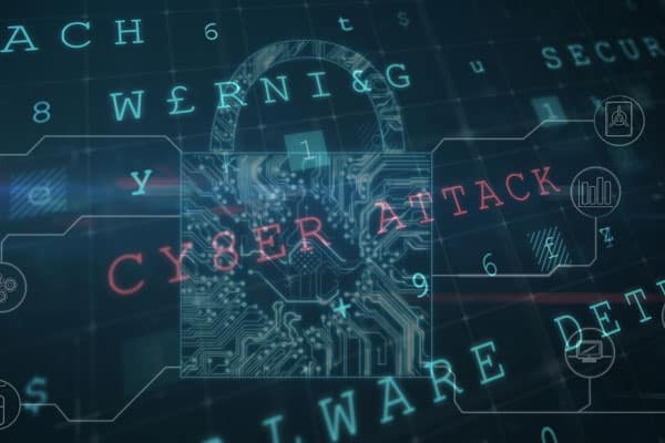 Cybercrime Is Rising Fast and Every Business Faces Growing Cyberattack Risks