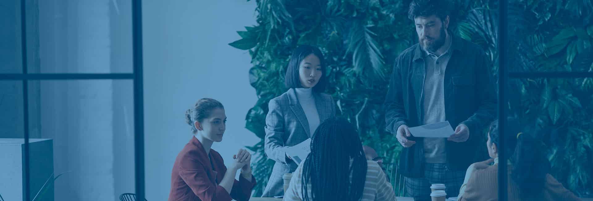 Microsoft Office 365 Consultant